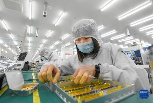 靠譜服務驅動技術創新，標準引領未來——一家光通信企業的出海秘籍